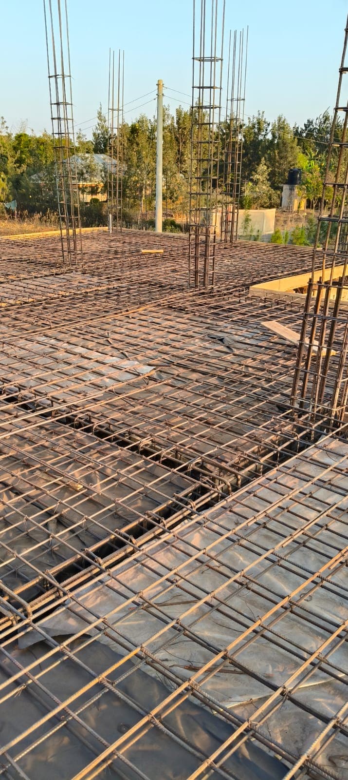 Roof slab formwork and rebar mesh at sunset