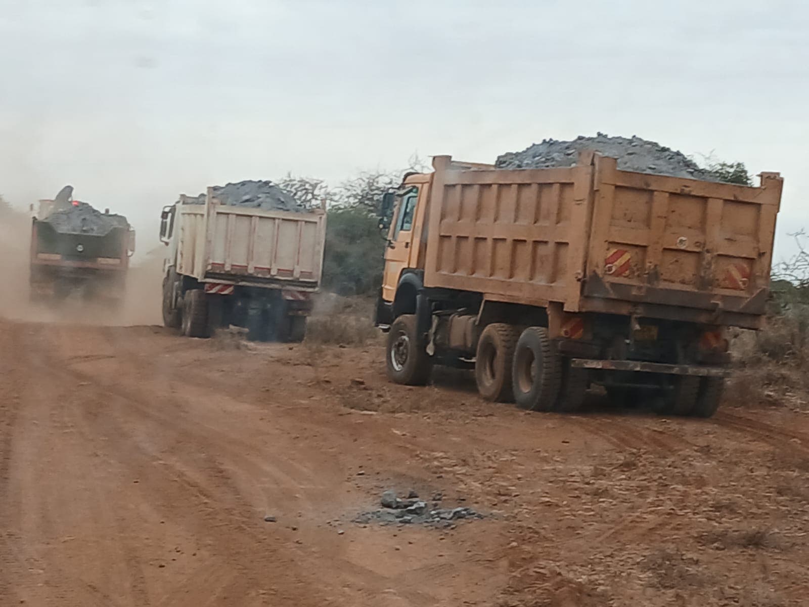 Convoy of tipper trucks hauling hardcore down a dusty road