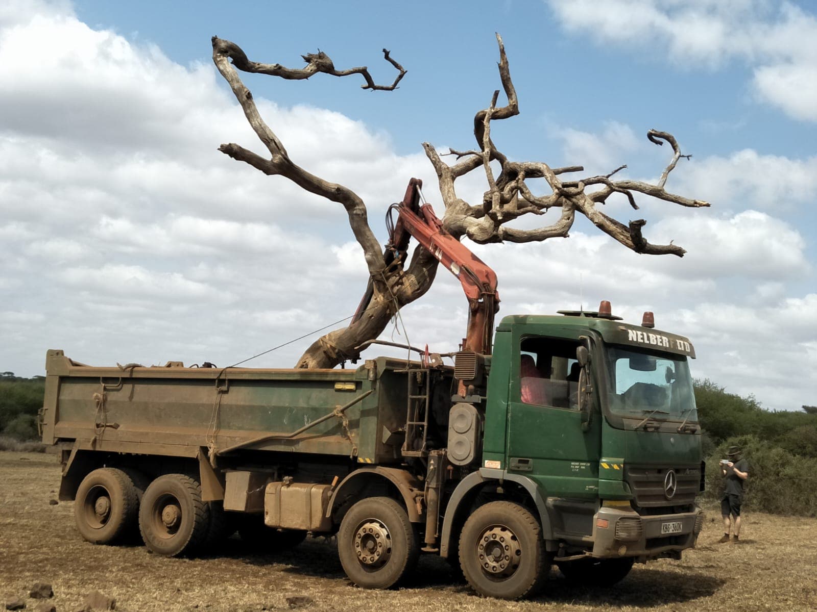 Nelberfarm truck with a grabber crane clearing a dead tree